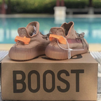 Yeezy boost 350 (3)