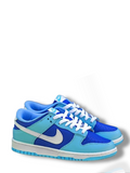 Dunk low (7)
