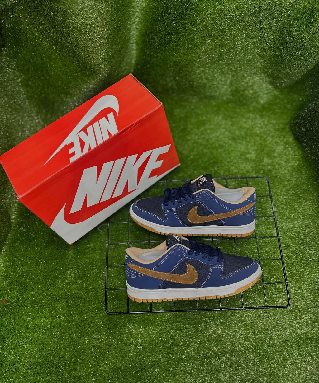 Nike sb dunk (20)