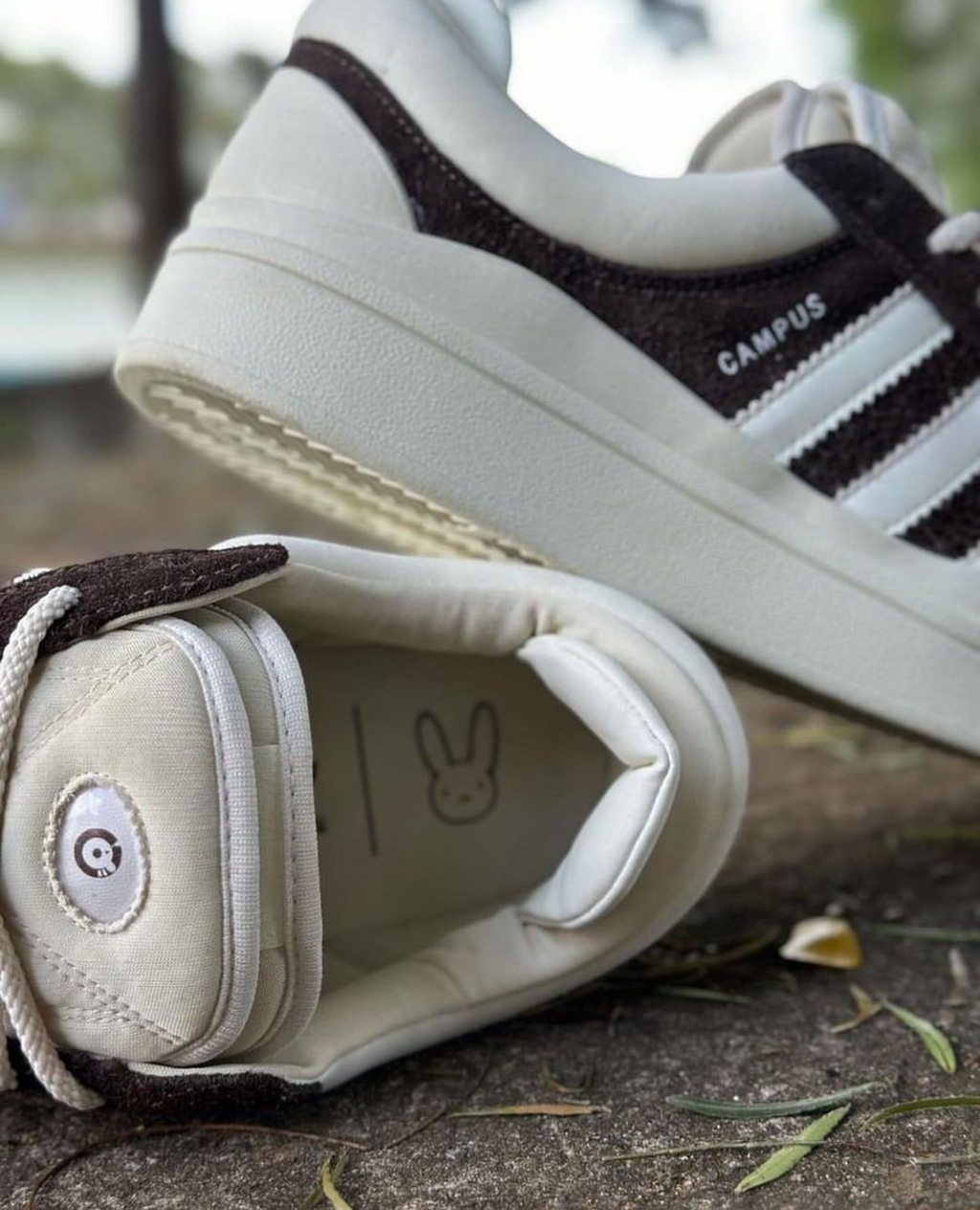 Adidas Campus (16)