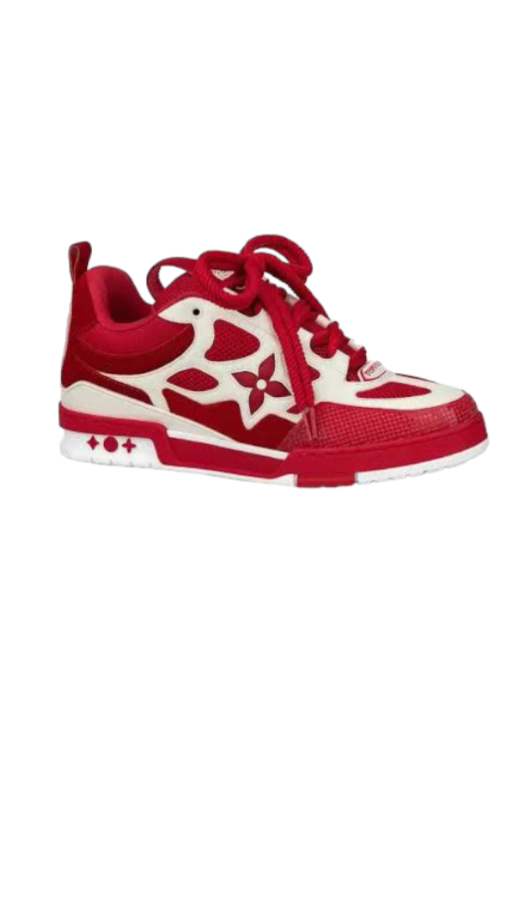 Louis Vuitton (13)