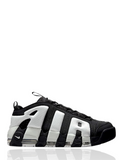 Air Uptempo (3)