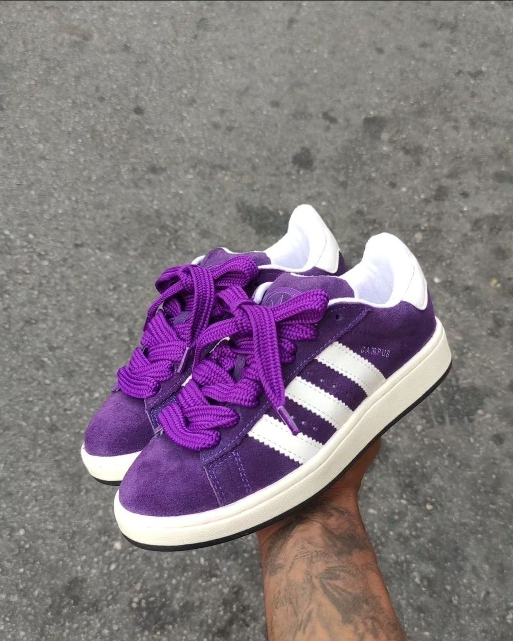 Adidas Campus (2)