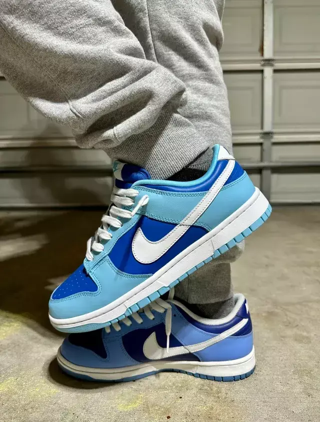 Dunk low (7)