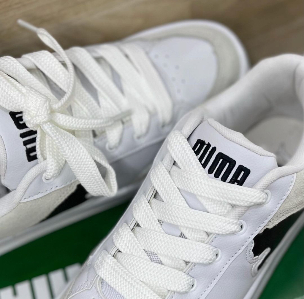 Puma (2)