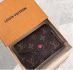Carteira louis vuitton (5)