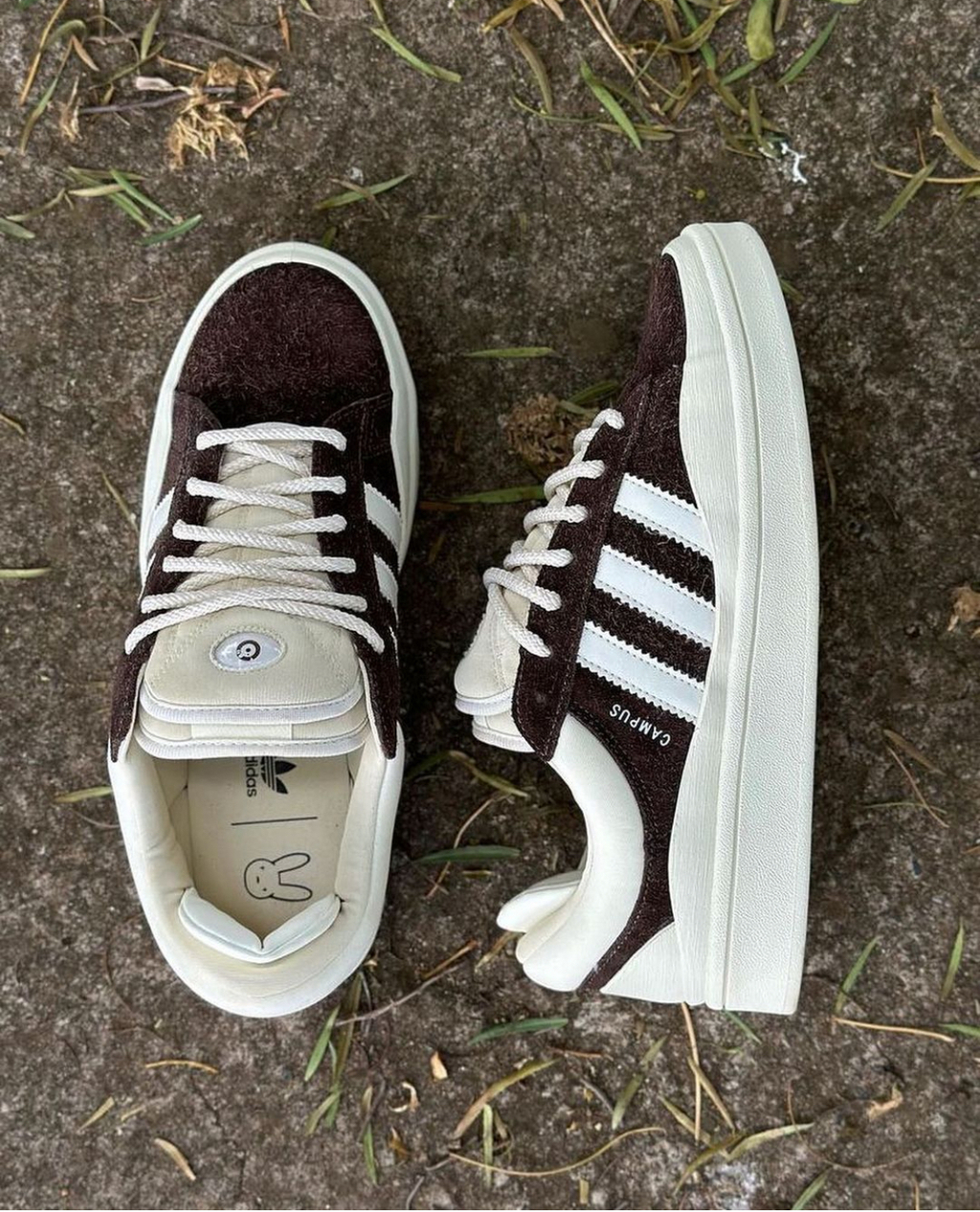 Adidas Campus (16)