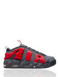 Air Uptempo (2)