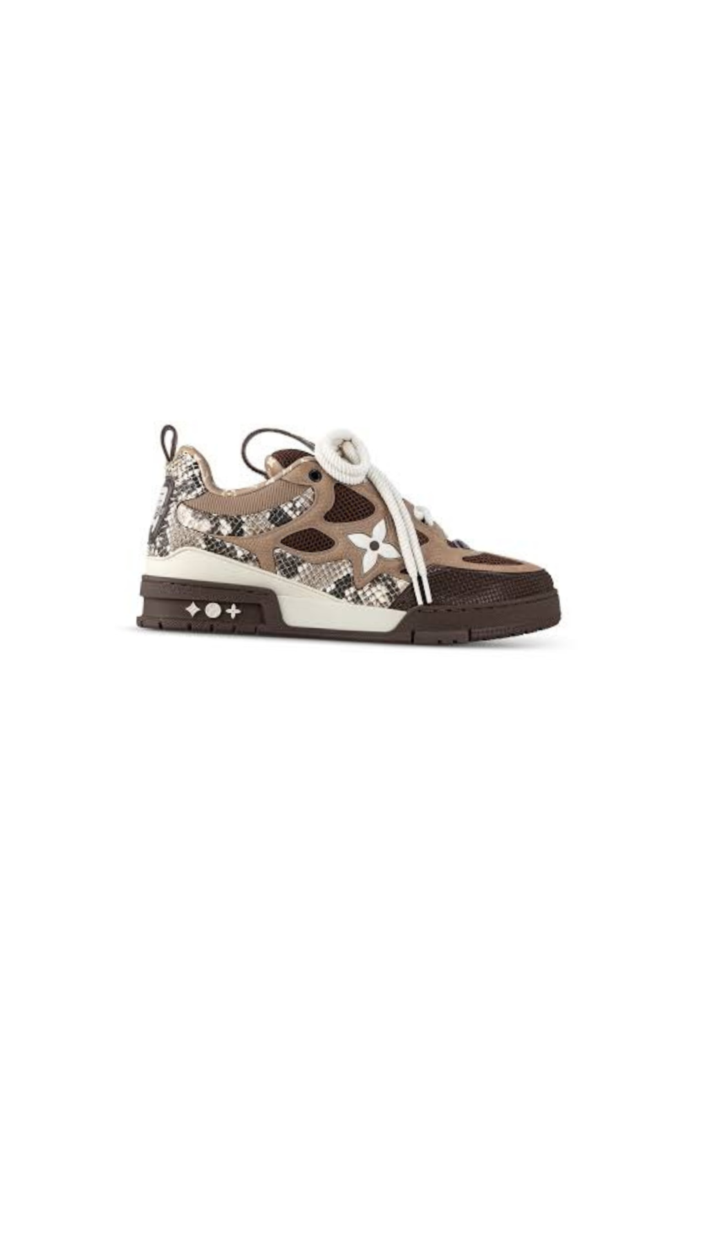 Louis Vuitton (10)