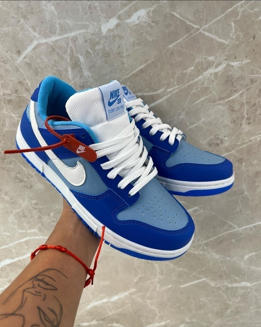 Dunk low (7)