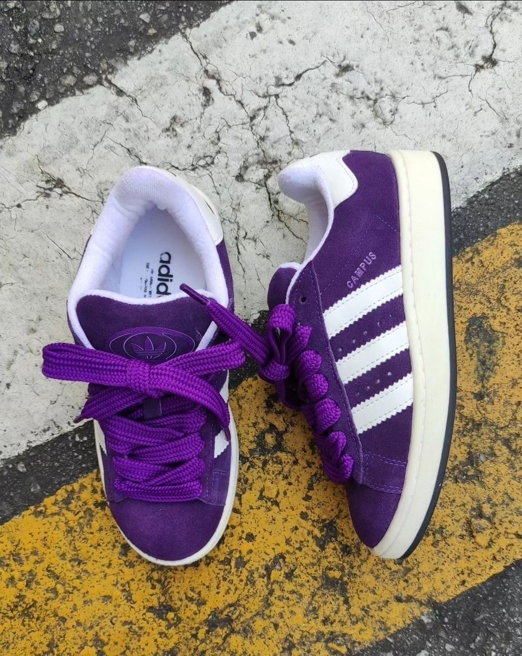 Adidas Campus (2)