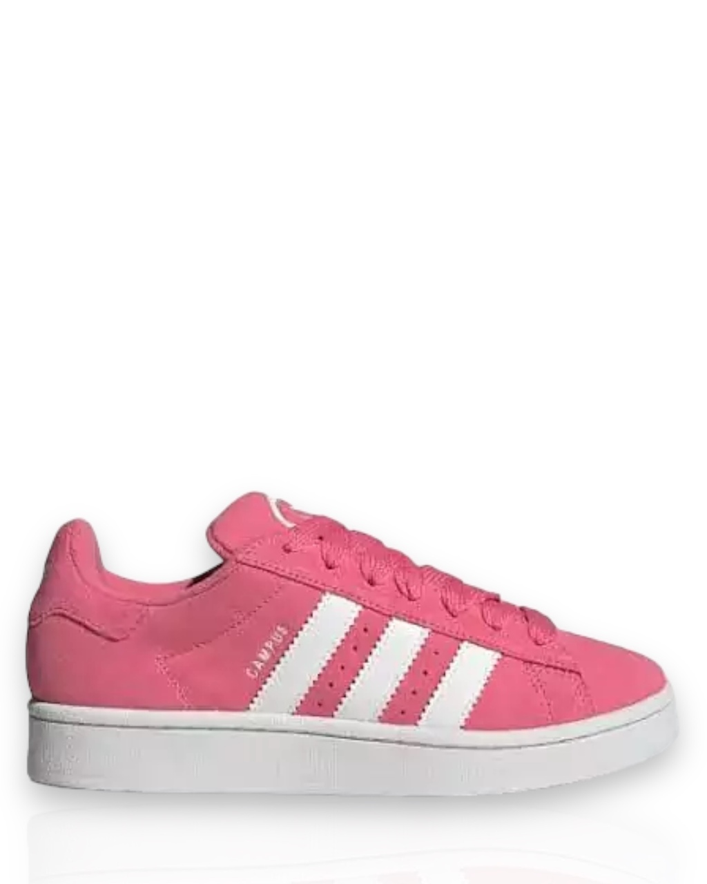 Adidas Campus (7)