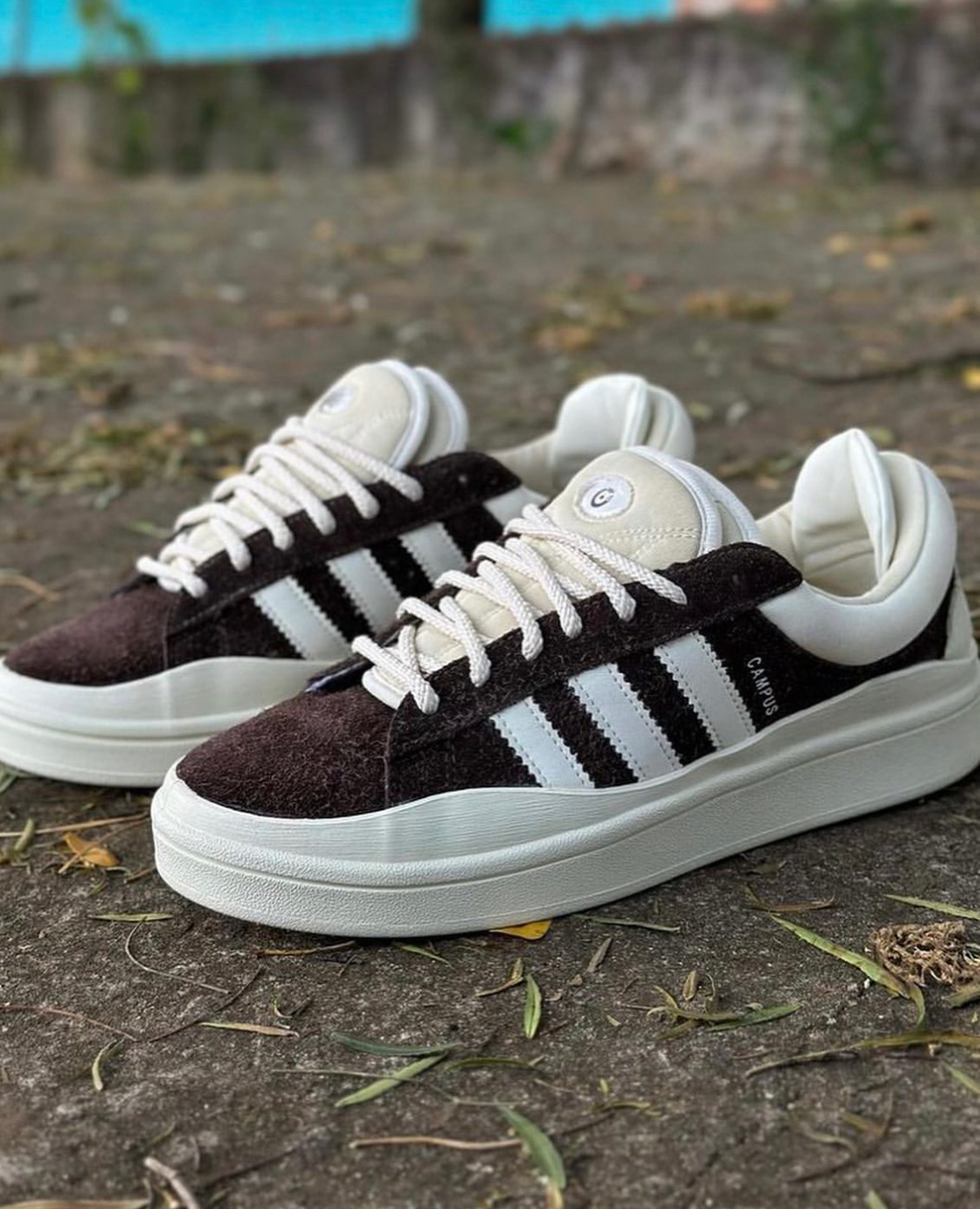 Adidas Campus (16)