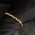 Pulseira cartie cadeado - 6,5 mm - 21 cm - fecho gaveta nossa senhor