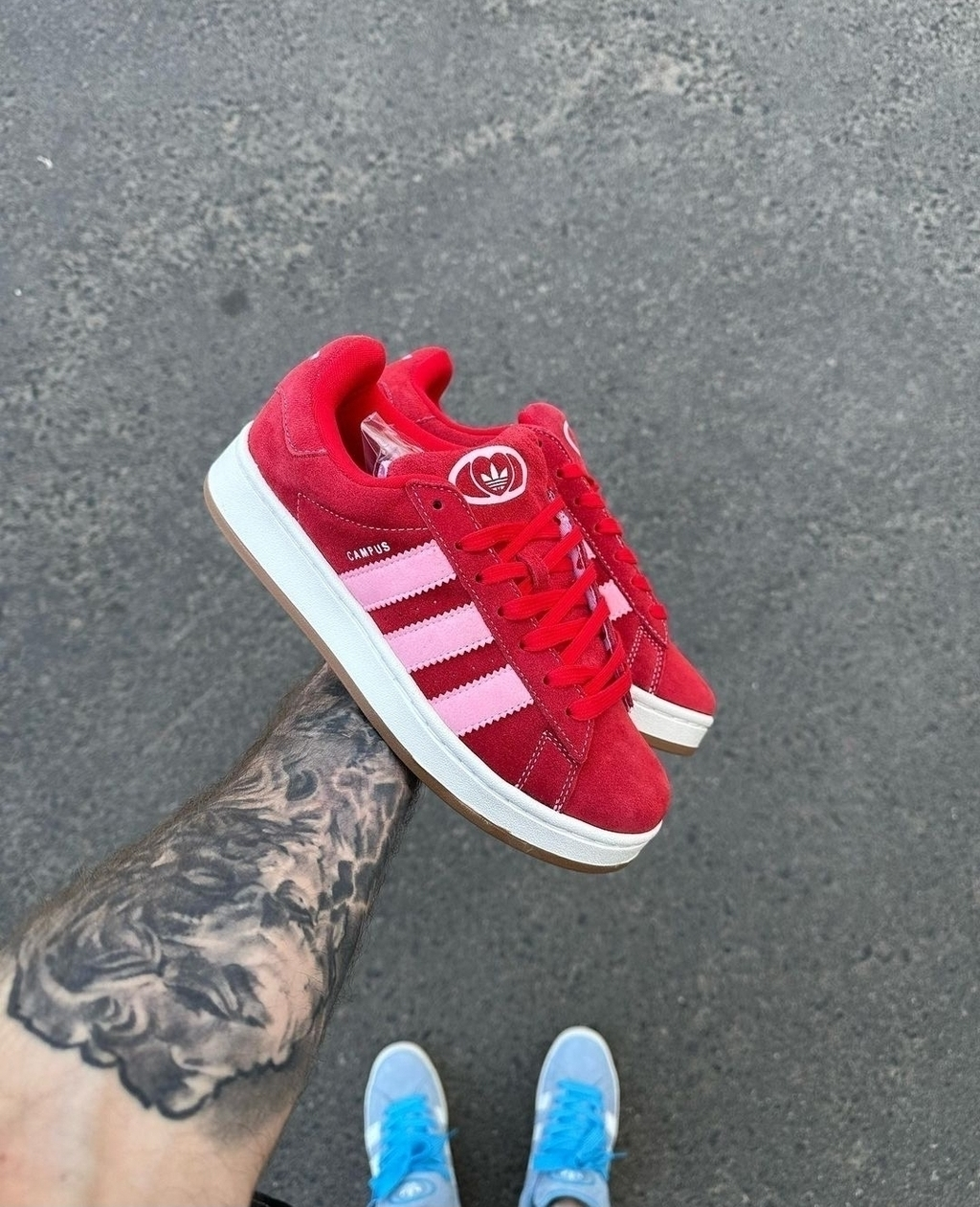 Adidas Campus (8)
