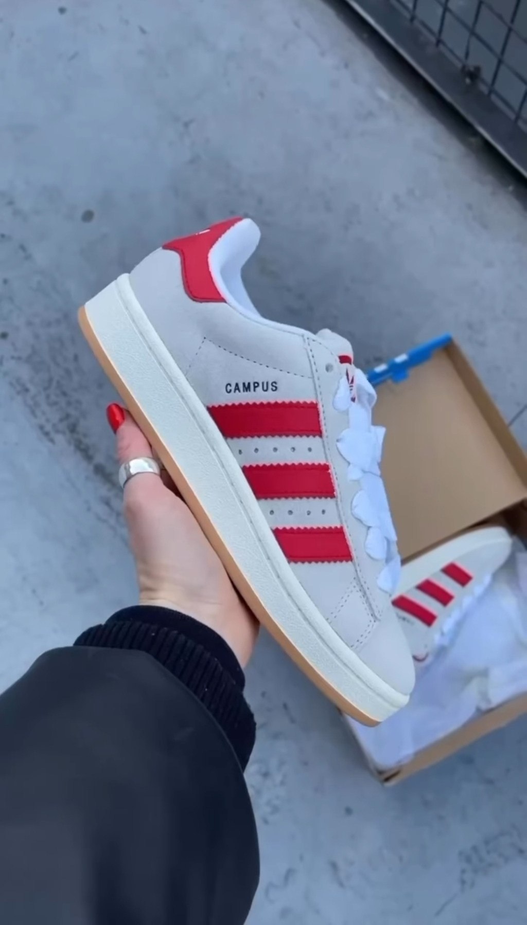 Adidas Campus (6)