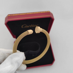 Cartier (5)